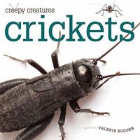 Produktbild: Crickets