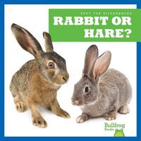 Produktbild: Rabbit or Hare?