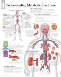Produktbild: Metabolic Syndrome Chart