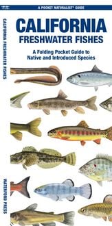 Produktbild: California Freshwater Fishes