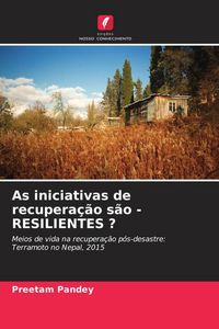 Produktbild: As iniciativas de recupera&ccedil;&atilde;o s&atilde;o - RESILIENTES ?