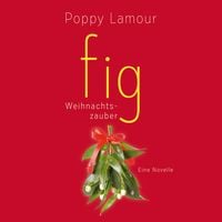 Produktbild: fig &ndash; Weihnachtszauber