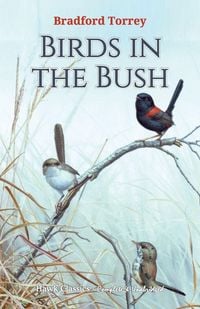 Produktbild: Birds in the Bush