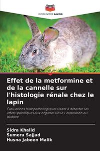 Produktbild: Effet de la metformine et de la cannelle sur l'histologie r&eacute;nale chez le lapin