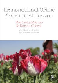 Produktbild: Transnational Crime and Criminal Justice