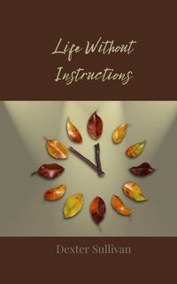 Produktbild: Life Without Instructions