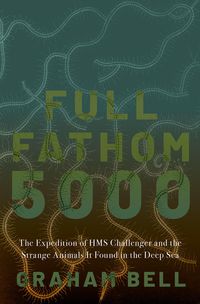 Produktbild: Full Fathom 5000