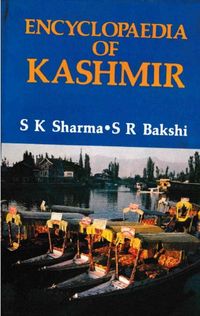 Produktbild: Encyclopaedia of Kashmir (Kashmir-The Constitutional Status)