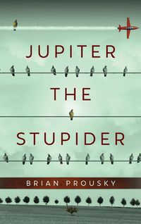 Produktbild: Jupiter the Stupider