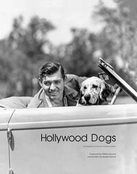 Produktbild: Hollywood Dogs