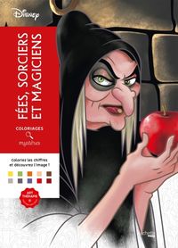 Produktbild: F&eacute;es, sorciers et magiciens : coloriages myst&egrave;res