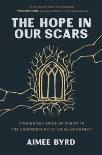 Produktbild: The Hope in Our Scars