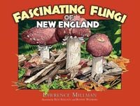 Produktbild: Fascinating Fungi of New England