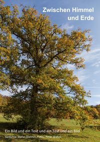Produktbild: Zwischen Himmel und Erde