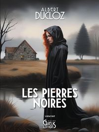 Produktbild: Les pierres noires