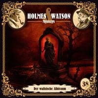 Produktbild: Mysterys: Der walisische Albtraum