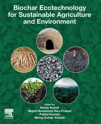 Produktbild: Biochar Ecotechnology for Sustainable Agriculture and Environment