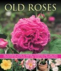 Bild vom Artikel Mikolajski, A: Old Fashioned Roses vom Autor Andrew Mikolajski