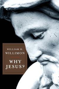 Produktbild: Why Jesus?