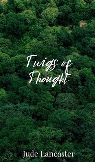 Produktbild: Twigs of Thought