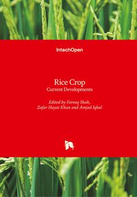 Produktbild: Rice Crop
