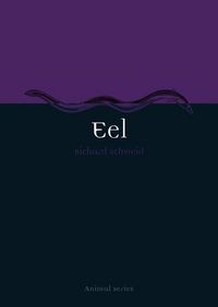 Produktbild: Eel