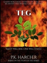 Produktbild: Teg (The Tylwyth Teg (Faerie Folk) Series, #1)