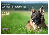 Produktbild: Zauberhafte Langhaar Schäferhunde (Wandkalender 2025 DIN A2 quer), CALVENDO Monatskalender