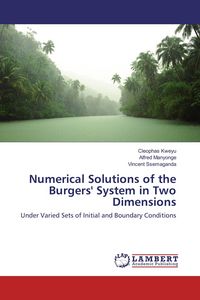 Produktbild: Numerical Solutions of the Burgers' System in Two Dimensions