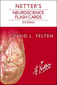 Produktbild: Netter's Neuroscience Flash Cards E-Book