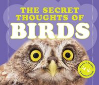 Produktbild: The Secret Thoughts of Birds