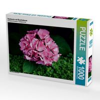 Produktbild: CALVENDO Puzzle Hortensie mit Buchsbaum | 1000 Teile Lege-Gr&ouml;&szlig;e 64x48cm Foto-Puzzle f&uuml;r gl&uuml;ckliche Stunden