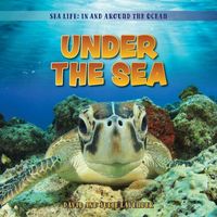 Produktbild: Under the Sea