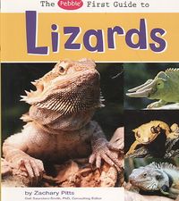 Produktbild: The Pebble First Guide to Lizards