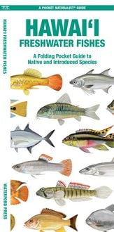 Produktbild: Hawai'i Freshwater Fishes