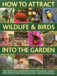 Produktbild: Lavelle, C: How to Attract Wildlife & Birds Into the Garden