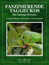 Produktbild: Faszinierende Taggeckos