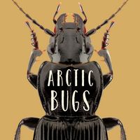 Produktbild: Arctic Bugs