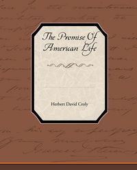 Produktbild: The Promise of American Life