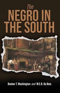 Produktbild: The Negro in the South