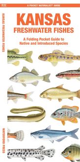 Produktbild: Kansas Freshwater Fishes
