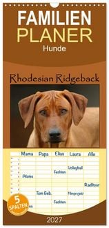 Produktbild: Familienplaner 2027 - Rhodesian Ridgeback Terminkalender mit 5 Spalten (Wandkalender, 21 x 45 cm) CALVENDO