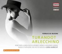 Bild vom Artikel Turandot/Arlecchino vom Autor Protschka