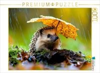 Produktbild: CALVENDO Puzzle Igel | 1000 Teile Lege-Gr&ouml;&szlig;e 64x48cm Foto-Puzzle f&uuml;r gl&uuml;ckliche Stunden
