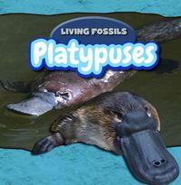Produktbild: Platypuses