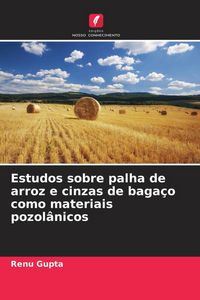 Produktbild: Estudos sobre palha de arroz e cinzas de baga&ccedil;o como materiais pozol&acirc;nicos