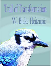 Produktbild: Trail of Transformation