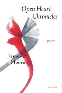 Produktbild: Open Heart Chronicles