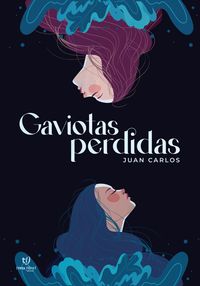 Produktbild: Gaviotas perdidas