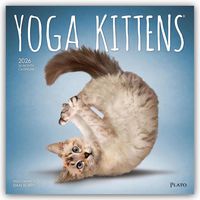 Produktbild: Yoga Kittens &ndash; K&auml;tzchen Yoga 2026 &ndash; 16-Monatskalender